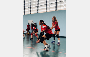 6a1decb27680a_39d57d2b442d4b989ffcf1b2d451f333.JPG